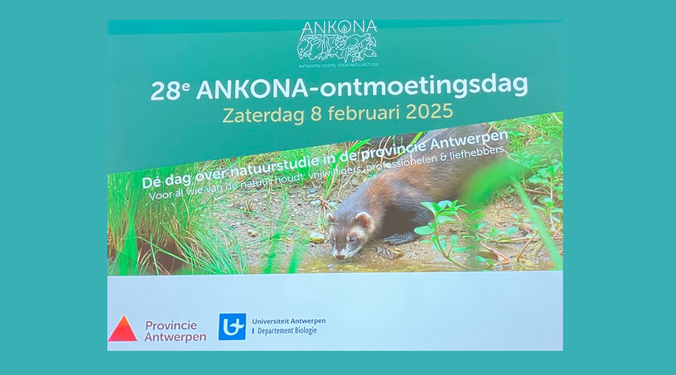 ANKONA ontmoetingsdag bewerkt1
