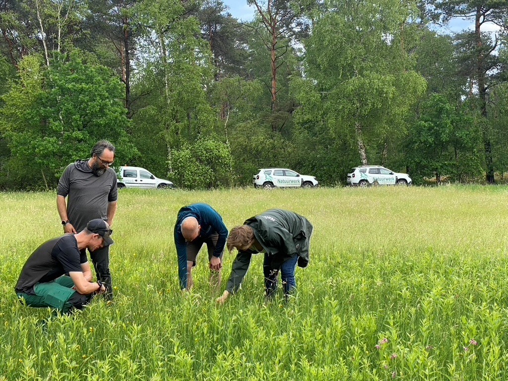 Afbeelding Natuurwerk