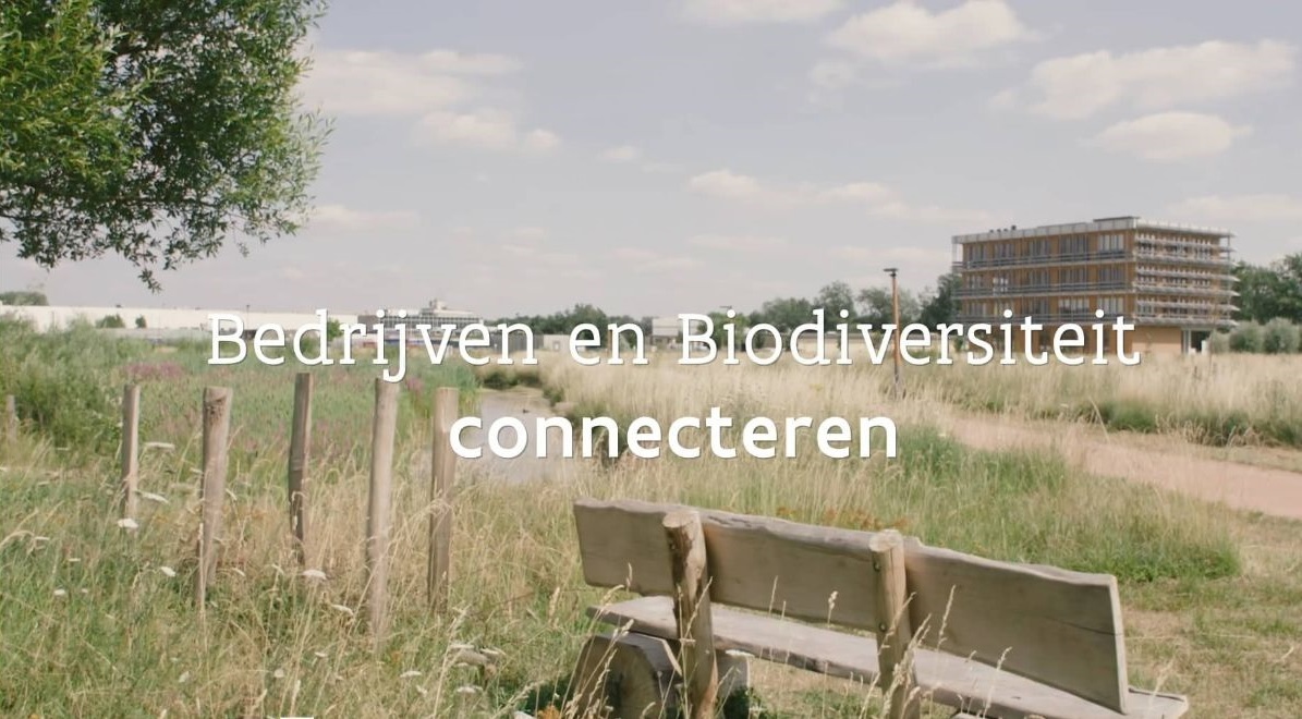 Bedrijven en biodiversiteit connecteren