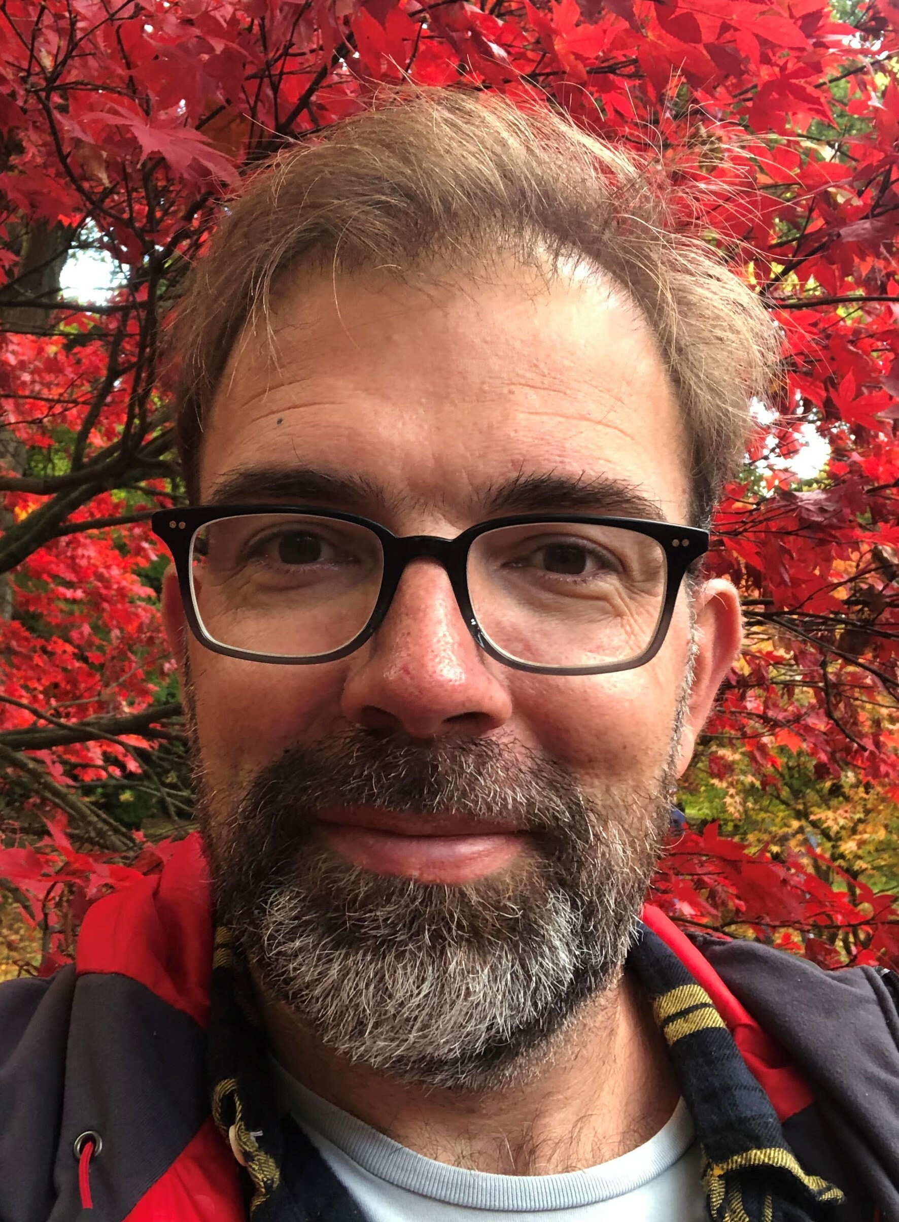 Foto Jan Van Laer