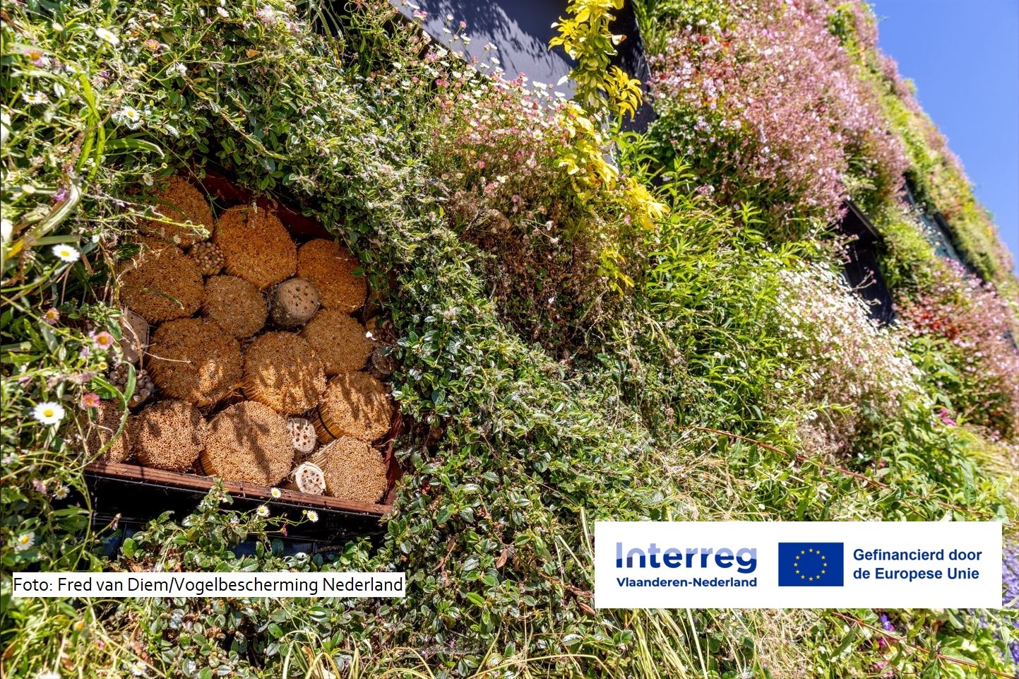 Fred van Diem Vogelbescherming Fotogalerij met bronvermelding Interreg logo1