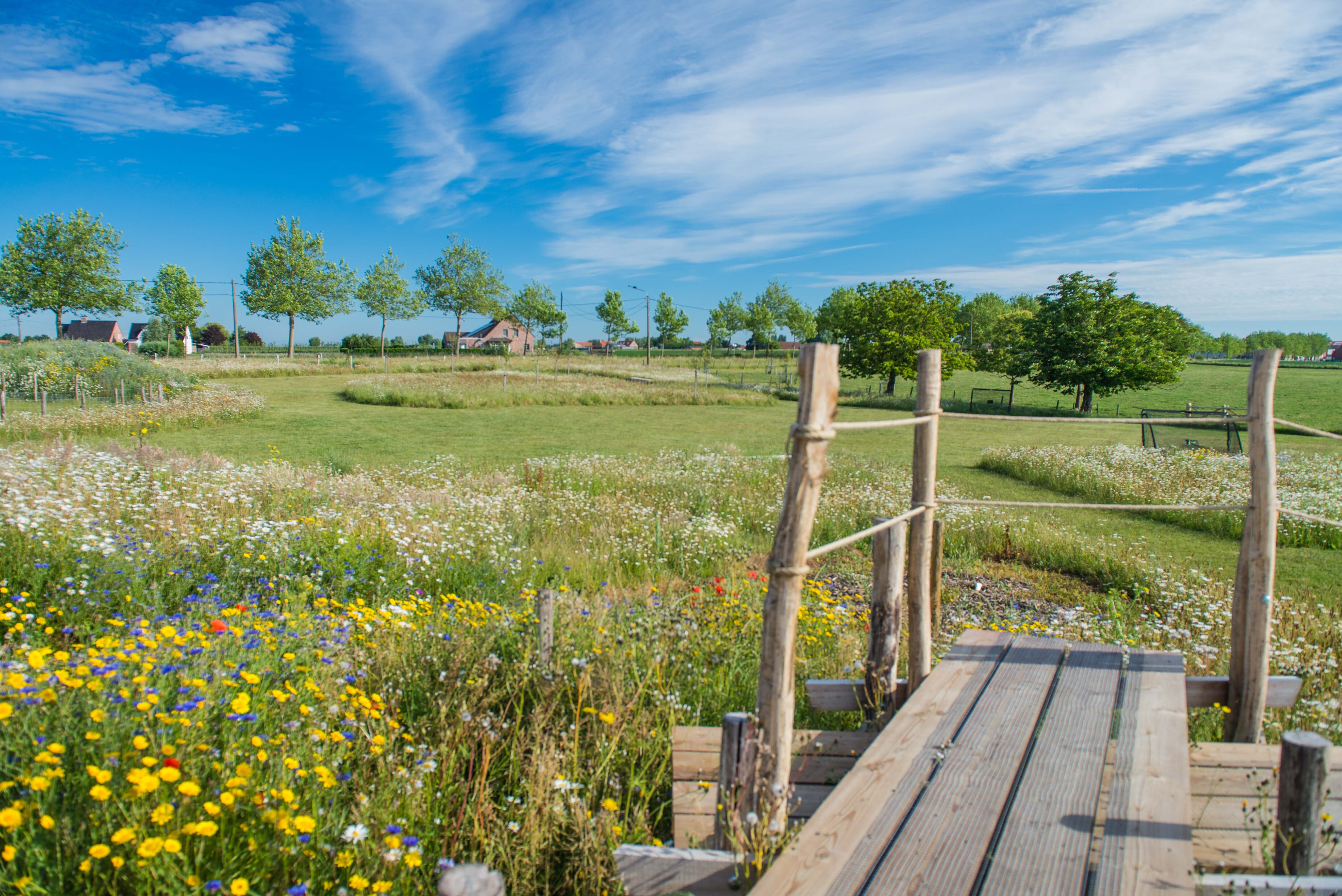 Gazon en bloemenweide Kemmel Omgeving Vlaanderen