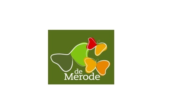 Logo de Merode4