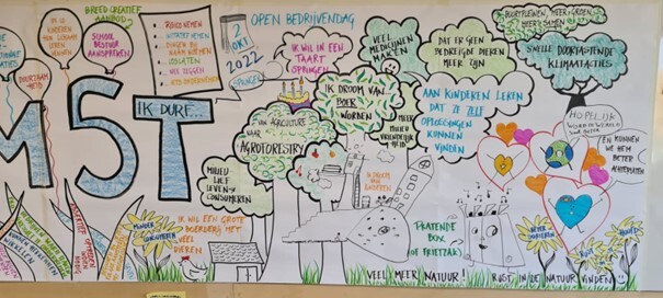 OBD 02 10 22 Visual Harvesting3