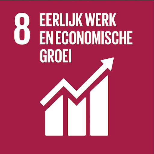 Sdg08 Eerlijk Werk En Economische Groei