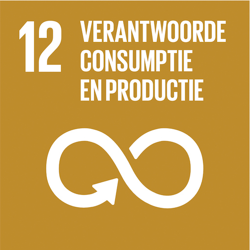 Sdg12 Verantwoorde Consumptie En Productie