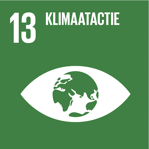 Sdg13 Klimaatactie