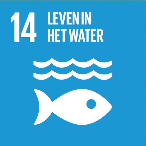 Sdg14 Leven In Het Water