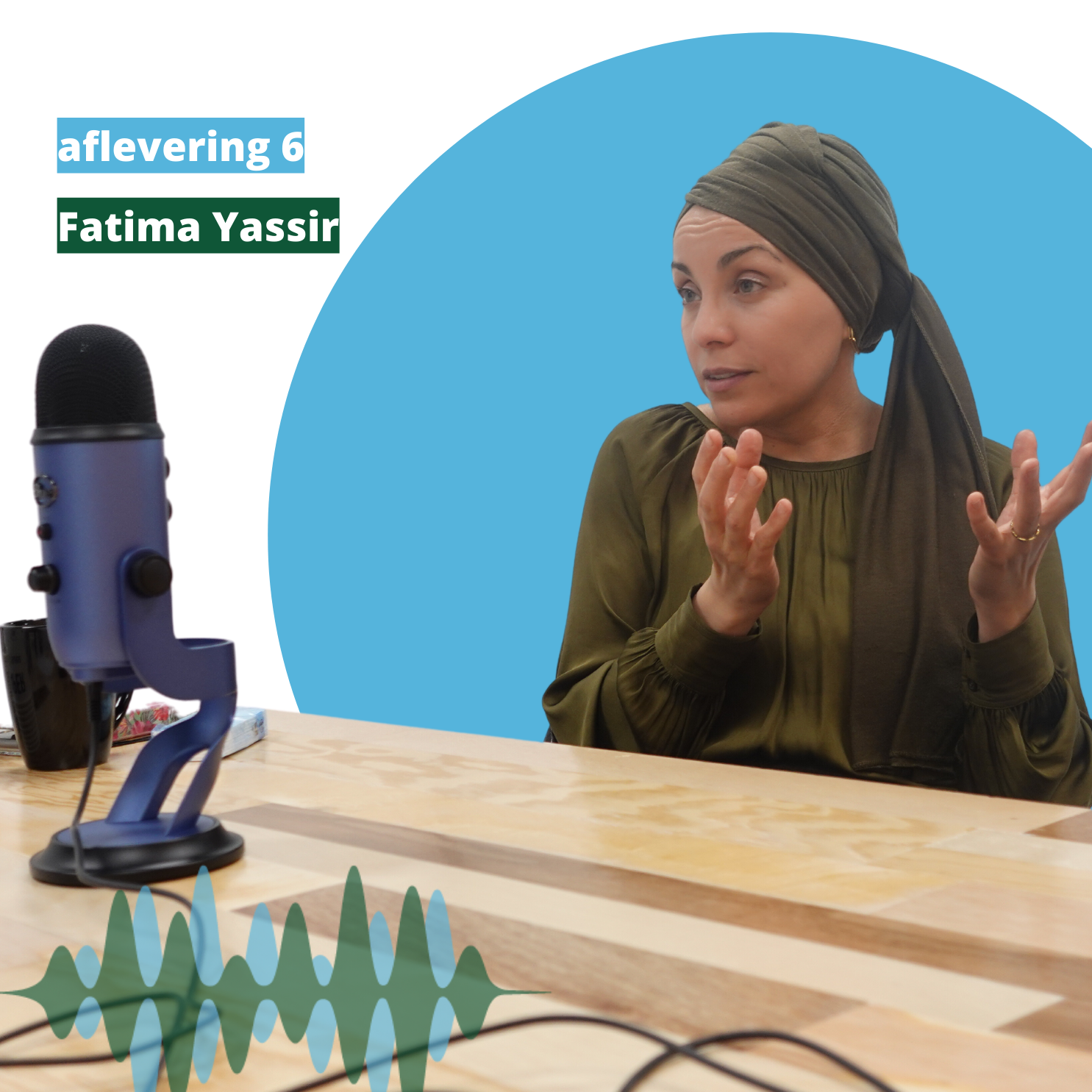 Podcast aflevering covers 2