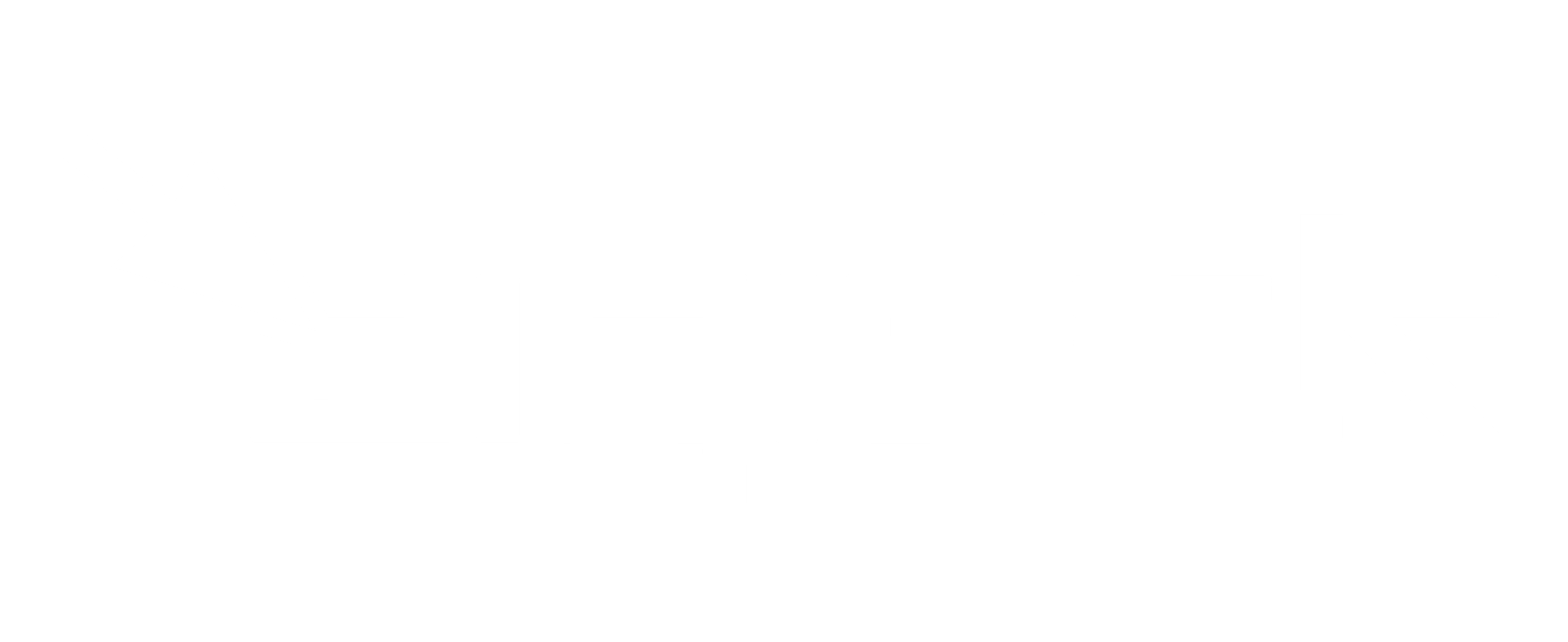 Digidak wit1