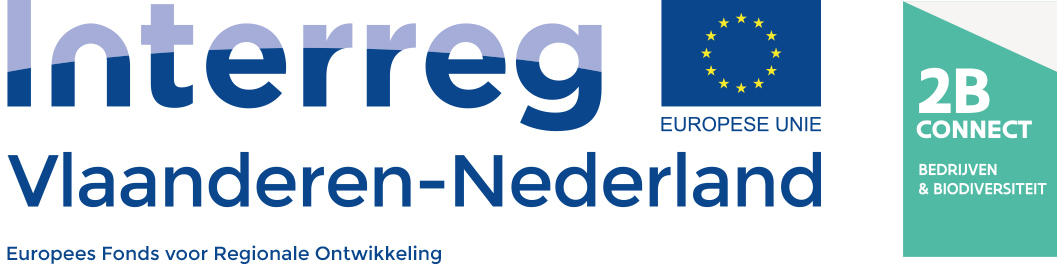 Logo 2B Connect Interreg
