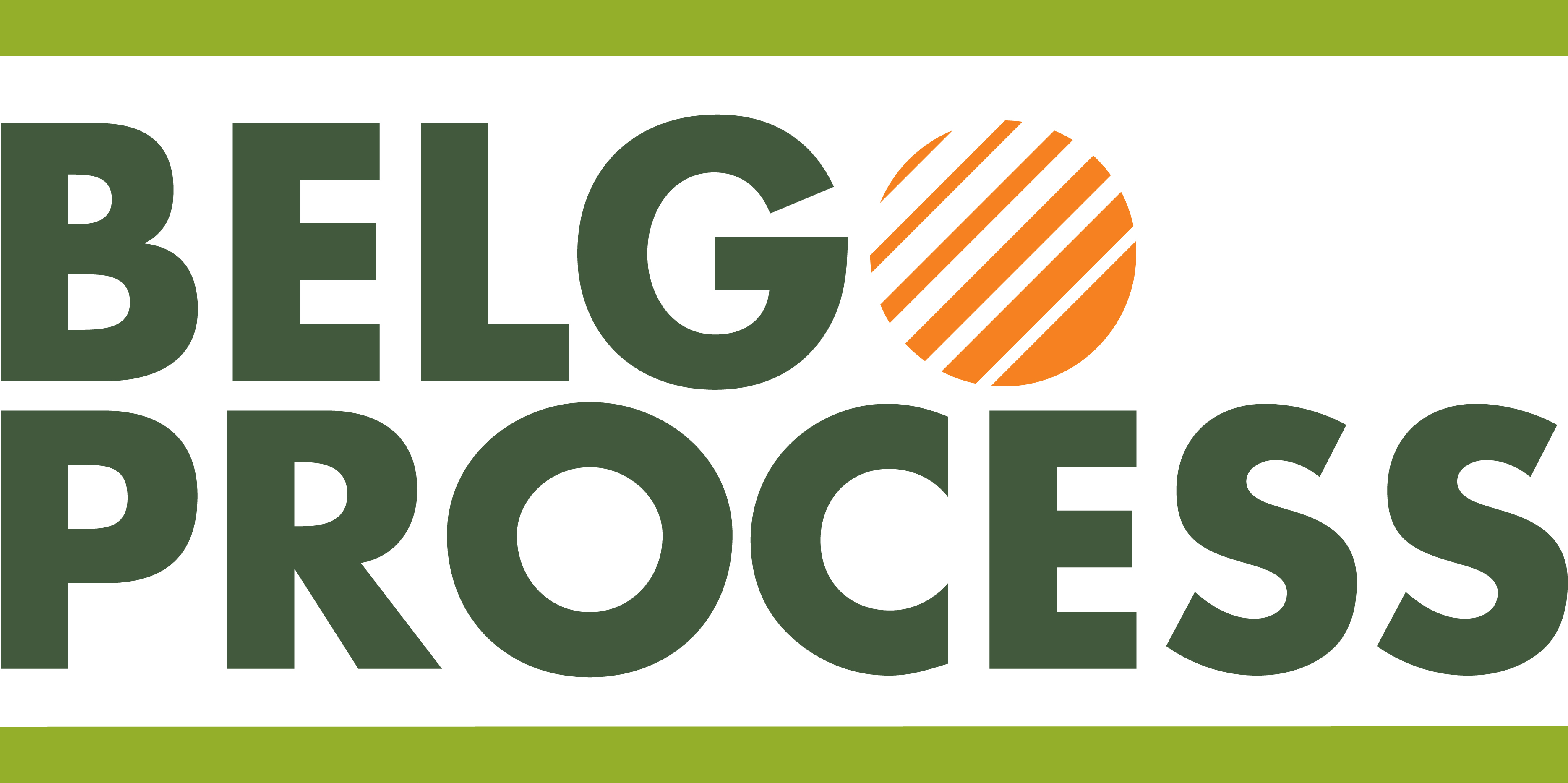 Logo BelgoProcess